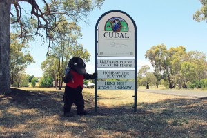 Freeda jumps for joy at Cudal