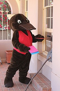 Molong Post Office staff were surprised to see a giant platypus