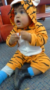 Flynn the Tiger