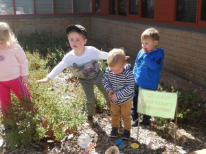 Flowers planted at Storytime