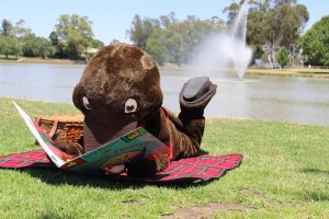 Freeda enjoys some holiday reading