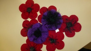 Purple Poppies for animals