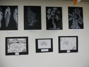 Cowra School Display 003