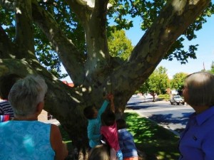 Cowra Autumn Storytime